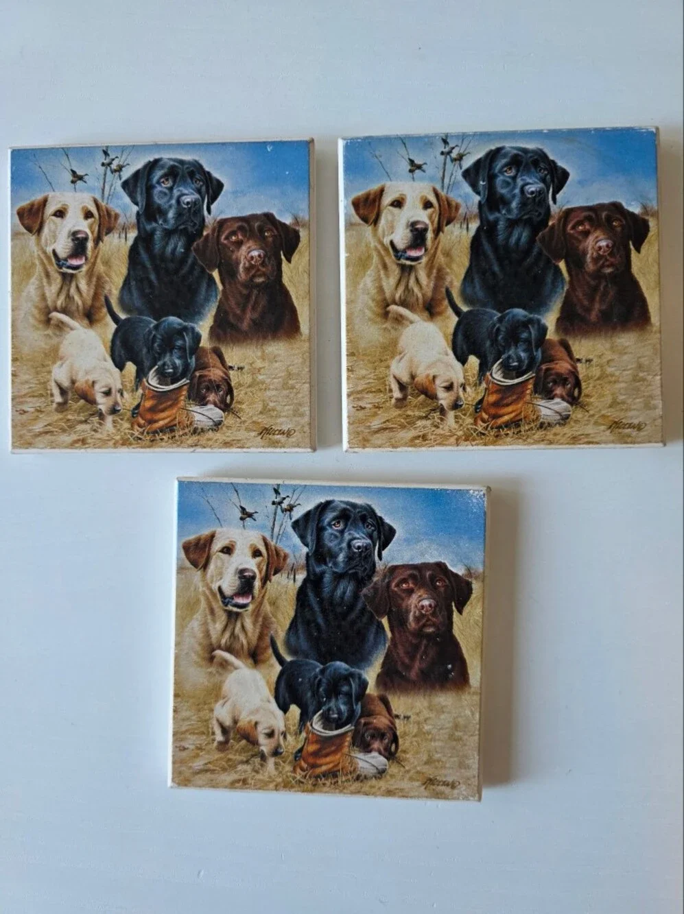 Set of 3 Labrador Retriever Coasters - Yellow, Black, Chocolate